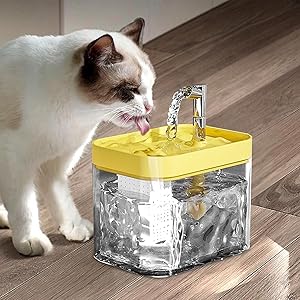 Powtopia™ Automatische drinkfontein