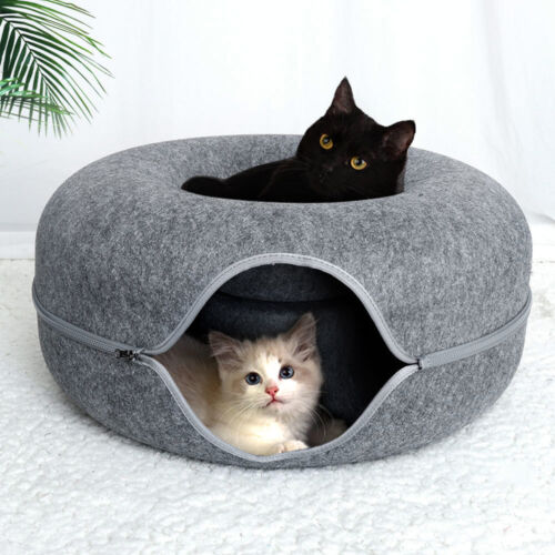 Powtopia™ Hotel - Kattentunnel Mand