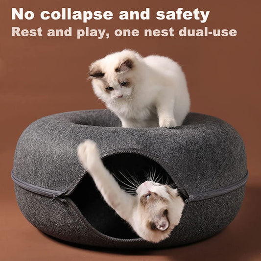 Powtopia™ Hotel - Kattentunnel Mand