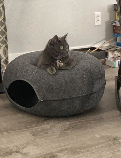 Powtopia™ Hotel - Kattentunnel Mand