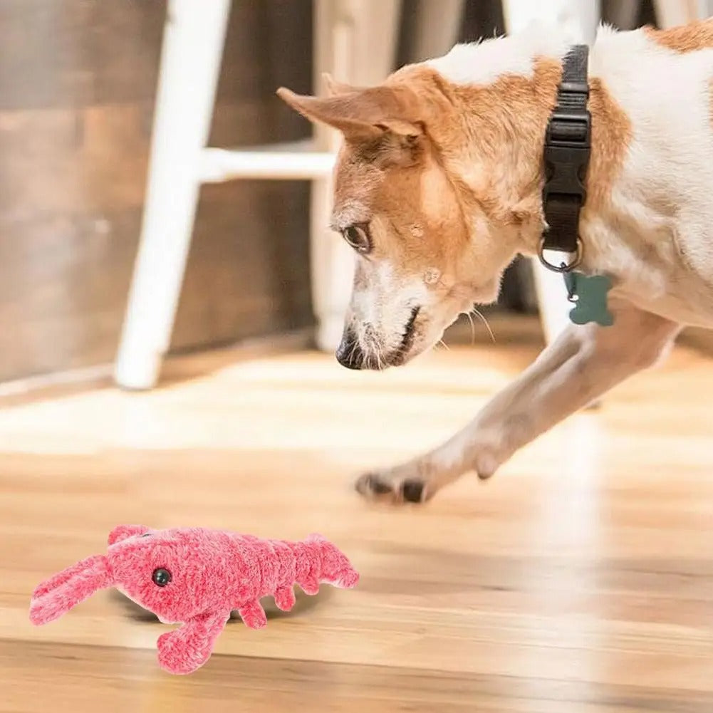 Powtopia™ PlushToy - Interactief Pluchen Speelgoed Voor Huisdieren
