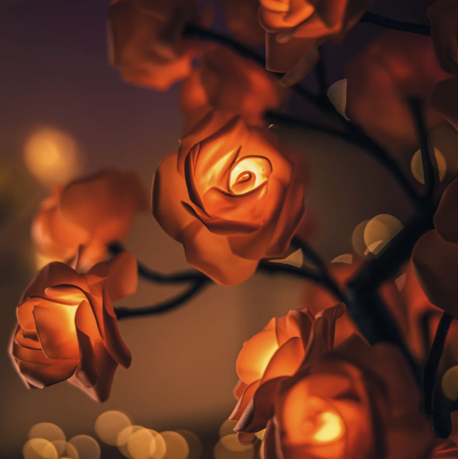 Luminoos™ - De Rozenboom