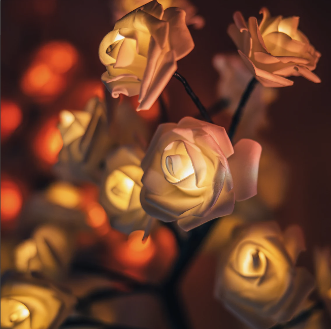 Luminoos™ - De Rozenboom