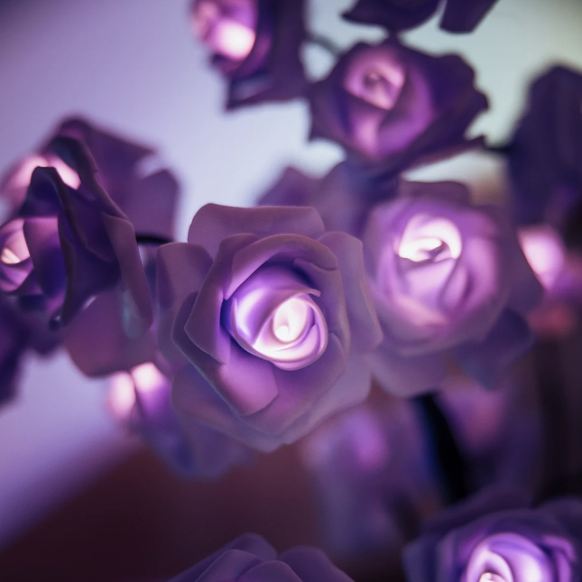 Luminoos™ - De Rozenboom