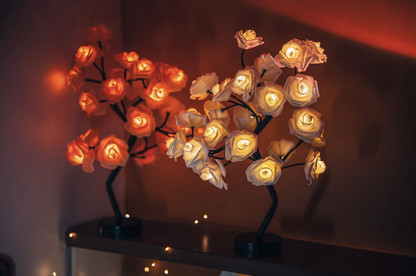 Luminoos™ - De Rozenboom